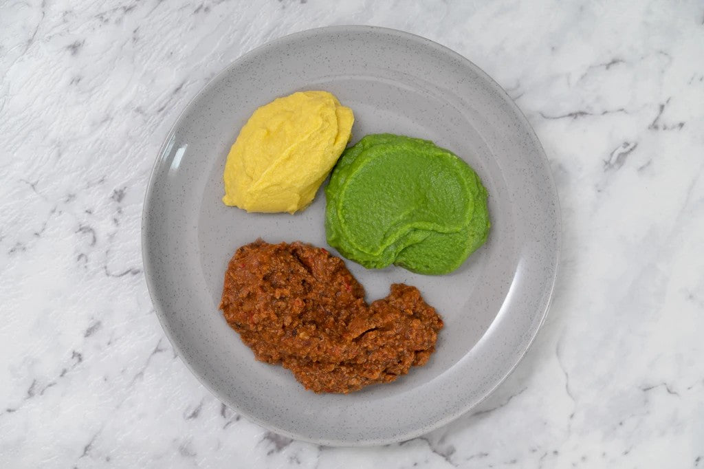 Buy Puree Food For Elderly Delivered Care Food Co buy-puree-food-for-elderly-delivered-care-food-co