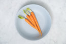 Carrot Puree 90g