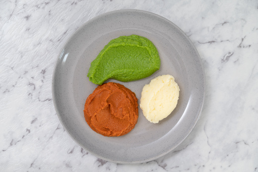 Meal Box 3 - (7 Meals) Pureed Diet – Care Food Co